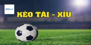 Tài Xỉu Bóng Đá Là Như Thế Nào? Hướng Dẫn Chi Tiết Từ A Đến Z Cùng 8XBET