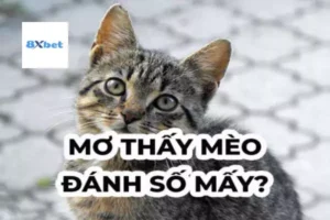 Con Mèo Số Mấy Lô Đề? 8xbet Giải Mã Ý Nghĩa Và Những Con Số May Mắn Liên Quan Đến Mèo