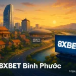 8xbet Bình Phước – Sân Chơi Cá Cược Uy Tín Hàng Đầu